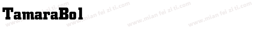 TamaraBold Bold字体转换